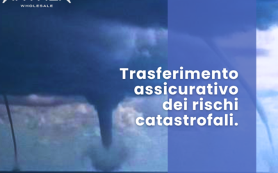 Polizza assicurativa contro le calamità naturali: obbligo per le imprese entro il 31 dicembre 2024